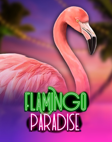 Flamingo Paradise