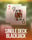 Single Deck Blackjack