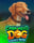 Caramelo Dog: Lucky Run