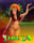 Bingo Samba Rio