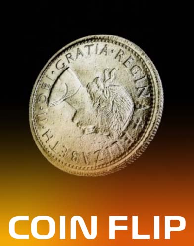 Coin Flip