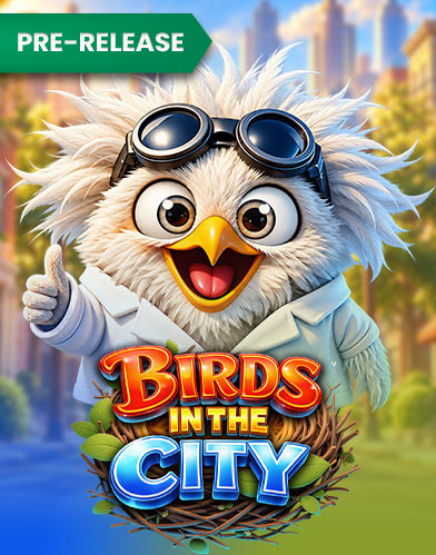 Birds in the City