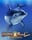 Dolphin's Pearl Deluxe Buy Bonus