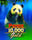 Panda Gold 10,000
